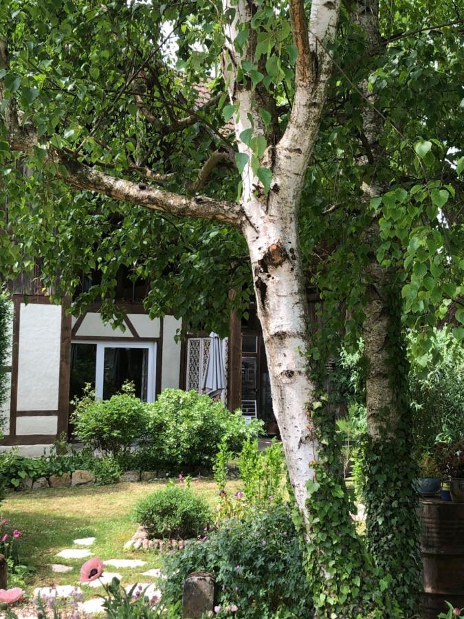 Apartament Le Sechoir Du Ried Rossfeld Zewnętrze zdjęcie