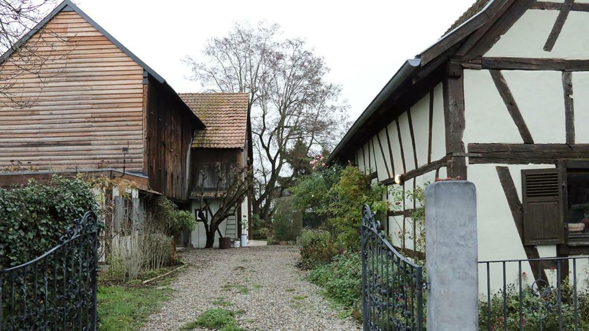 Apartament Le Sechoir Du Ried Rossfeld Zewnętrze zdjęcie